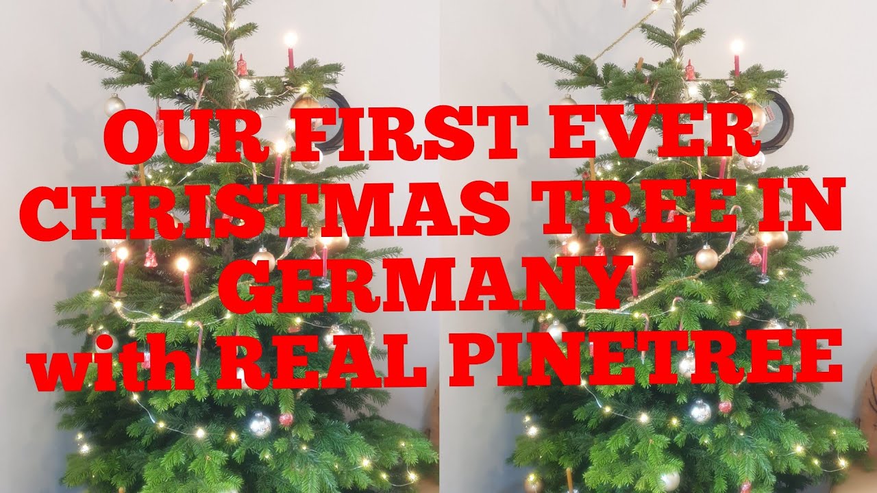 GERMANS USED REAL FOR CHRISTMAS TREE / OUR FIRST CHRISTMAS