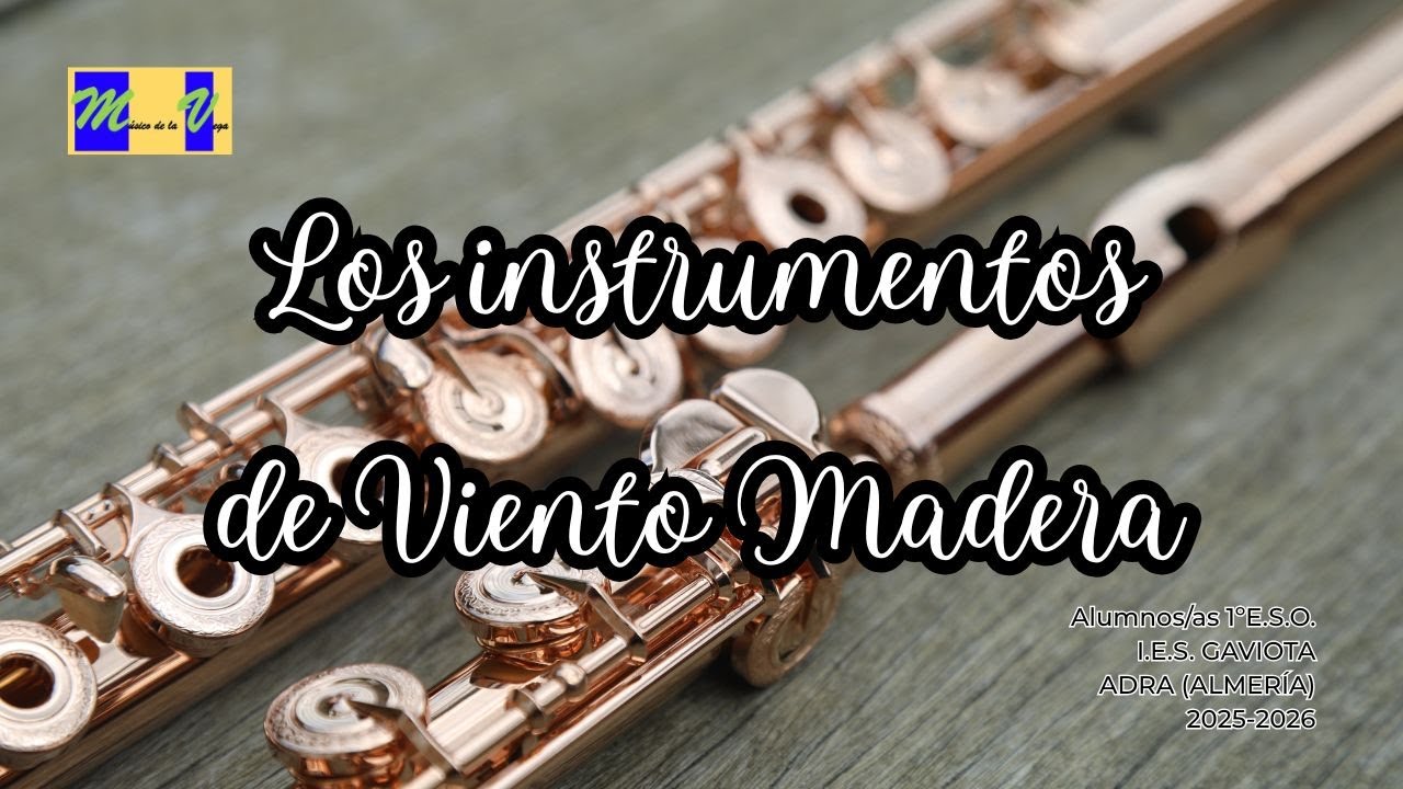 Proyecto 2. Instrumentos de viento Madera - YouTube