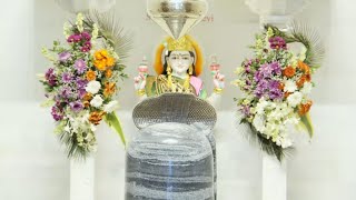 शिव भगवान प्राणप्रतिष्ठा प्रक्षाल-पूजन-आरती(पुणे त्रिमंदिर प्राणप्रतिष्ठा-२०२५)