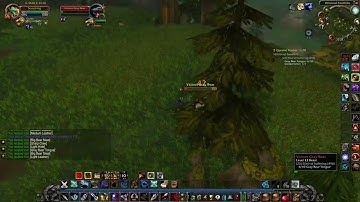 Elixir of Suffering (WOW classic quest)