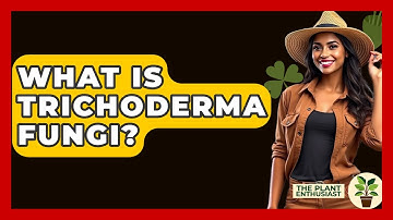 What Is Trichoderma Fungi? - The Plant Enthusiast