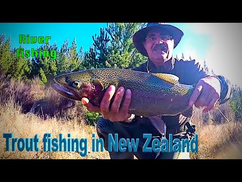NEW ZEALAND Trout Fishing Rangitaiki & Wheao Rivers Ep 195