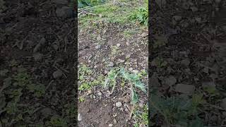 Öyhayatı Üşüncelerin