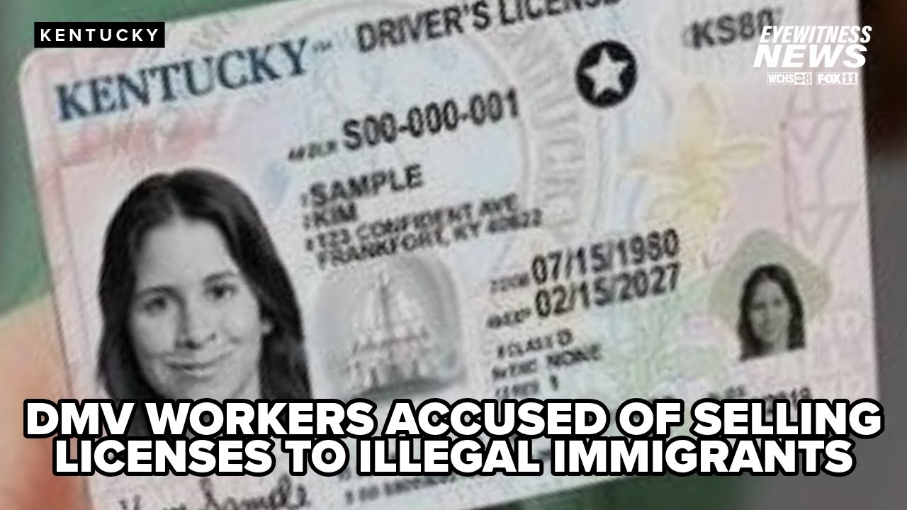 Alleged scheme to sell Kentucky drivers licenses to illegal immigrants under investigation Alleged scheme to sell Kentucky drivers licenses to illegal immigrants under investigation