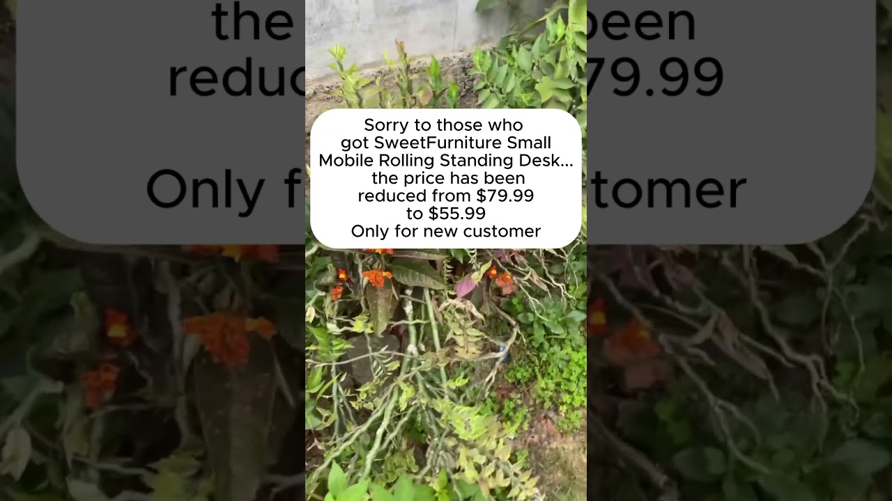 SweetFurniture Small Mobile Rolling Standing Desk Assembly and Review