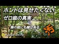 竹落葉とコナラの雄花序（ゆうかじょ）のダブルパンチで凹んでいます
