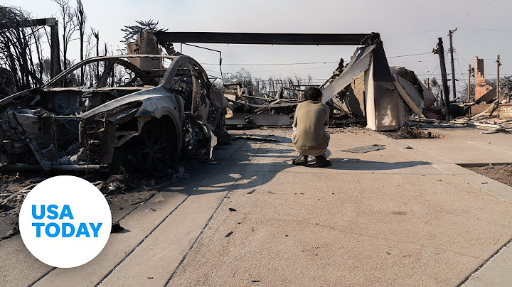 Victims of the Los Angeles wildfires share a common thread of loss | USA TODAY