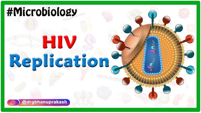 hiv virus structure animation