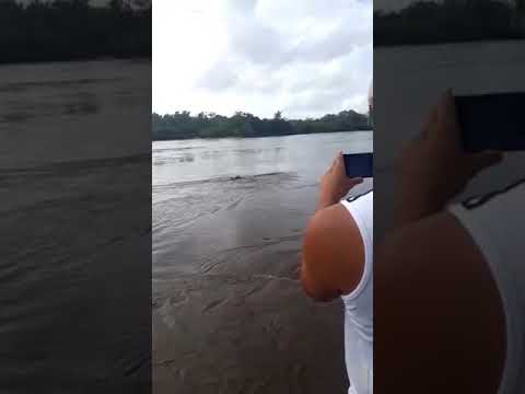 Carro cai no rio São Simão em Axixá