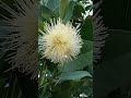 বাংলার প্রকৃতি মাশাআল্লাহ