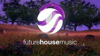Dua Lipa - Illusion (Dominic Strike Remix) by Future House Music 8,211 views 8 days ago 2 minutes, 35 seconds