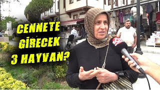 Cennete Girecek Hayvanlardan 3 Tanesini Sayar mısınız?