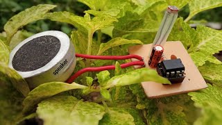 How to make a light Screamer Circuit using 555 Ic