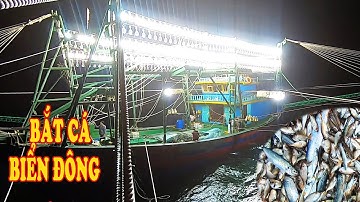 Xem Tàu Đánh Cá Biển Đông - Lần Đầu Bắt Được Mẻ Cá Này #78