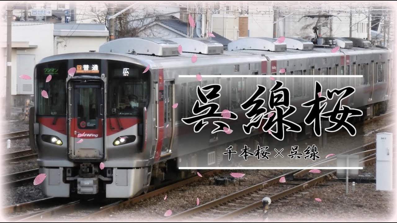 呉線桜【千本桜×JR西日本 呉線】