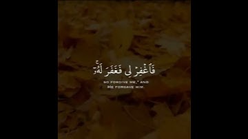 حالات واتس اب دينية مؤثرة😭🥀ll ارح سمعك😔💜تلاوه تنسيك هموم الدنيا كلها😴😴