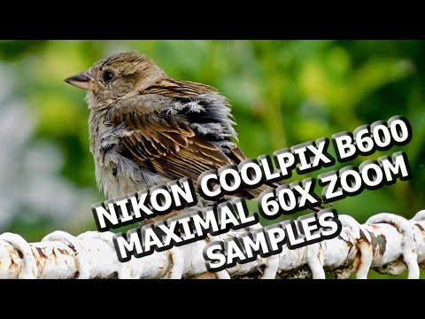Nikon Coolpix B600 Maximal 60x Zoom Samples