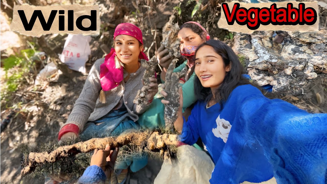 Aaj fir layi gumne jangli sabji nikal ke 😍