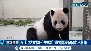 團團再見了...貓熊團團19號下午1:48離世 醫療團隊含淚放手 擬比照大象林旺做標本 動物園: 將保留皮毛.骨骼│記者 羅珮瑜 李文勝│【台灣要聞】20221119│三立iNEWS