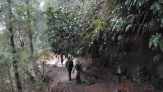DSCF0044