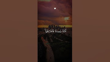 وما كان الناس إلا أمةً واحدة فاختلفوا │ القارئ عبد الرحمن مسعد