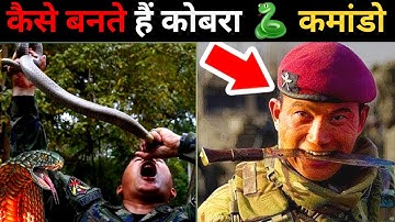 कैसे बनते हैं कोबरा 🐍 कमांडो 😱 | Commando training | Miletry Trening | Motivational Story 