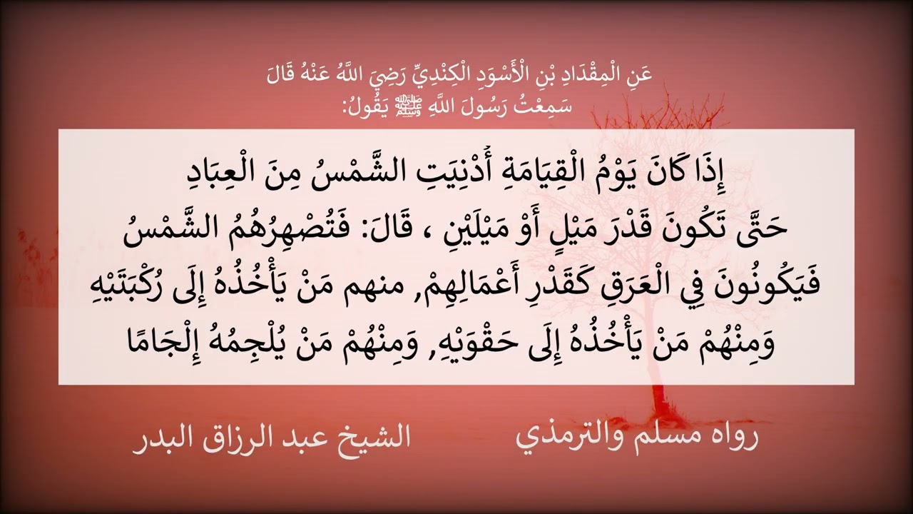 إذا كان يوم القيامة أدنيت الشمس من العباد - الشيخ عبد الرزاق البدر