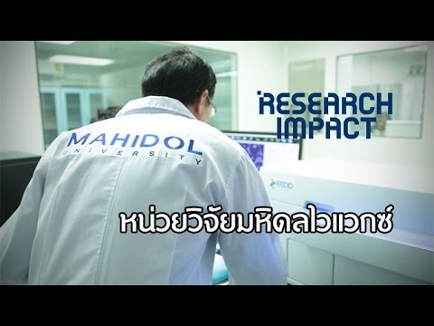 Research Impact [by Mahidol] หน่วยวิจัยมหิดลไวแวกซ์