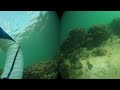 Samsung Gear 360 v1 + Underwater Housing