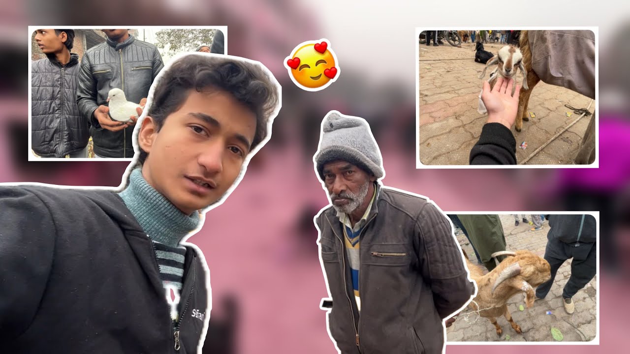 Exploring Kanpur Pets Market 😍 After Long Time 😎