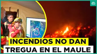 Incendios forestales no dan tregua: Más de 500 hectáreas resultan quemadas