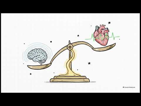 The vagus nerve video explainer