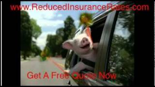New Geico Commercial-Piggy
