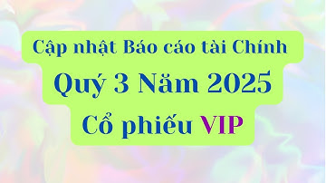 Cập nhật Báo cáo tài chính Quý 3 Năm 2025 của cổ phiếu VIP