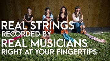 FREE String Quartet Sample Library Played by REAL MUSICIANS 💥💥