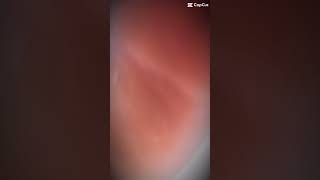 Slay Idk Why I Cant Put This On Shorts