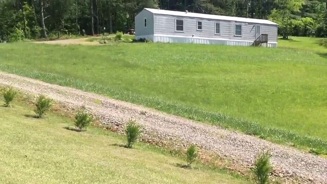 Thuja Green Giant update on growth YouTube