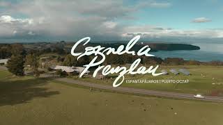 #1 Cornelia Prenzlau - Espantapájaros, Puerto Octay