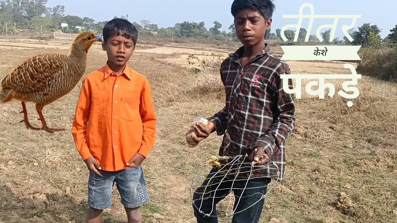 #adventure #jungle jungle me titar keshe pakdate Hain ,🥰