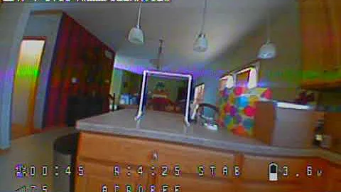 Flying my DIY PVC Tiny Whoop Gates