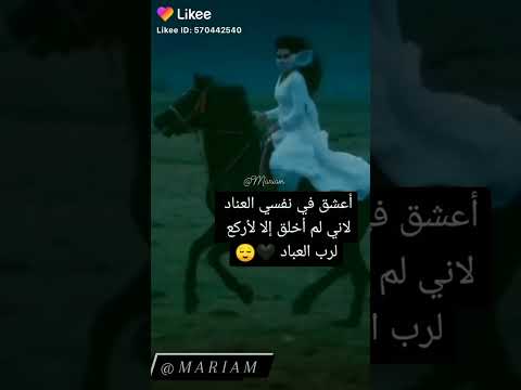 اعشق في نفسي العناد 2022