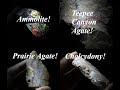 Black Hills, Day 4: Petrified Forest and Reviewing our Haul!