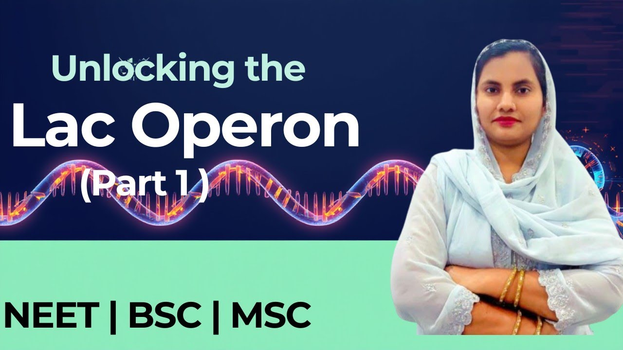 Lac Operon -Regulation Of Gene Expression |NEET |BSC| MSC - YouTube