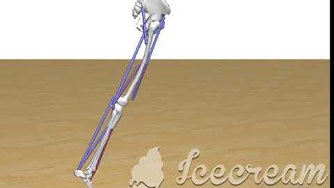 Predictive simulation with three DoF leg with OpenSim 4.0