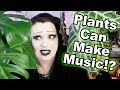 Listening to... MY PLANTS? | Toxic Tears