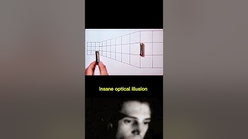 Insane Optical Illusion #shorts #opticalillusion #ytshorts