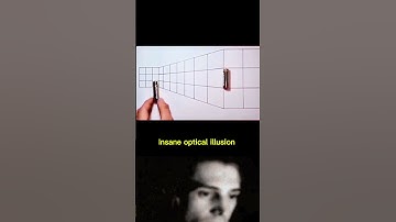 Insane Optical Illusion #shorts #opticalillusion #ytshorts