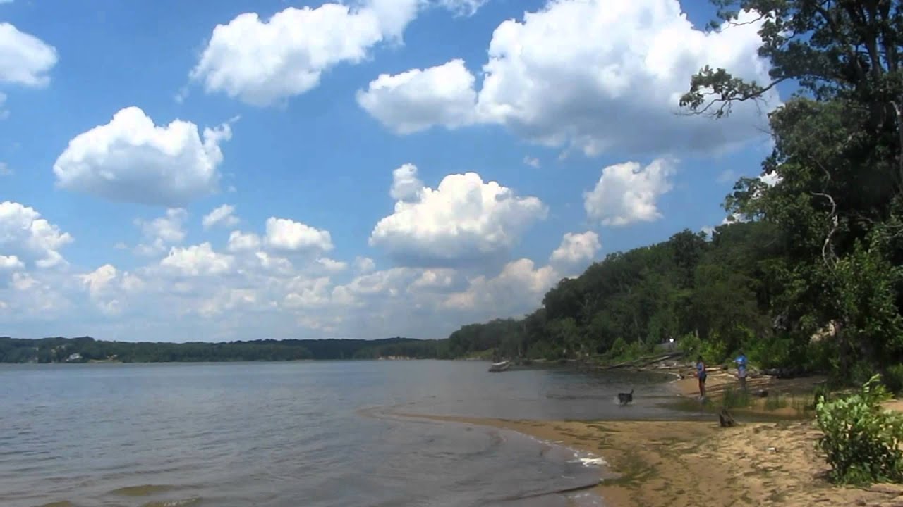 Mason Neck State Park VA Bay View Trail YouTube