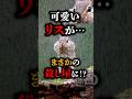 リスの闇…明らかに…#雑学