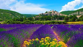 Nana Mouskouri - La Provence (Du blühendes Land) 432 Hz